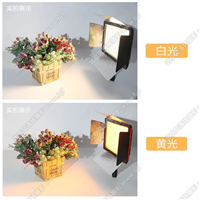 永諾YN600L led攝影燈常亮補(bǔ)光燈可調(diào)雙色溫微電影直播燈外拍燈