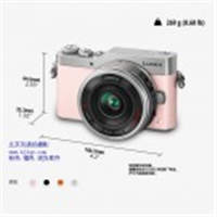 松下（Panasonic）GF9X微型單電套機(jī)（14-42mm電動鏡頭）4K美顏?zhàn)耘纳衿?、觸摸翻轉(zhuǎn)屏、WIFI傳輸 櫻花粉